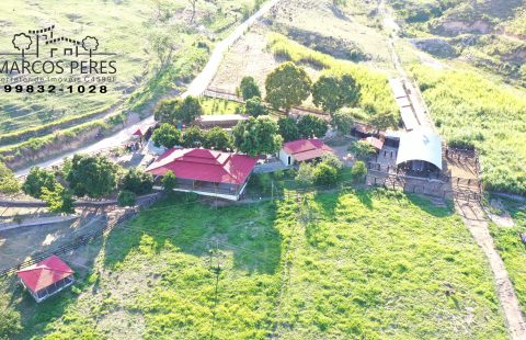 FAZENDA HÁ 7 KM DO CENTRO DA CIDADE