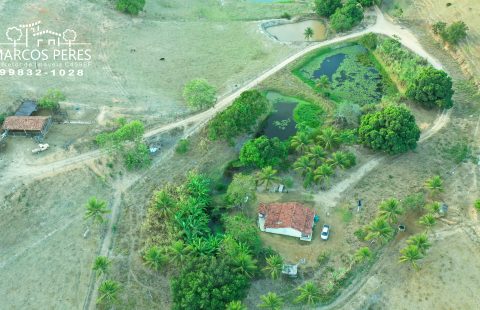 TERRA DE 6 ALQUEIRES NAS TRÊS VENDAS