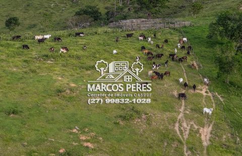 VENDE PROPRIEDADE RURAL