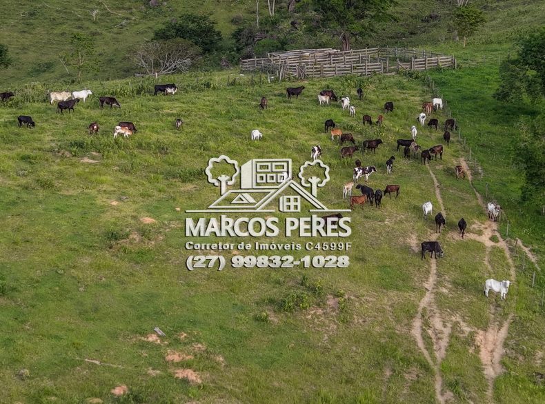 VENDE PROPRIEDADE RURAL